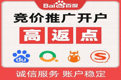 专业竞价SEM托管成功案例解析